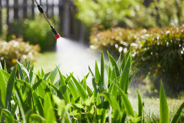 24/7 Emergency Wasp Removal experts in Tomball, TX