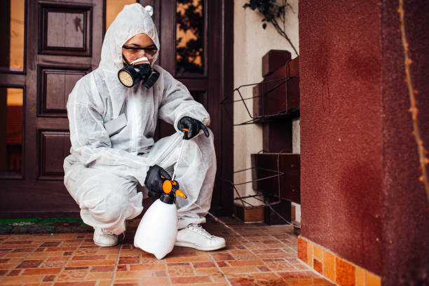 Reliable Wasp Removal contractor in Tomball, TX by Show Me Pest Control